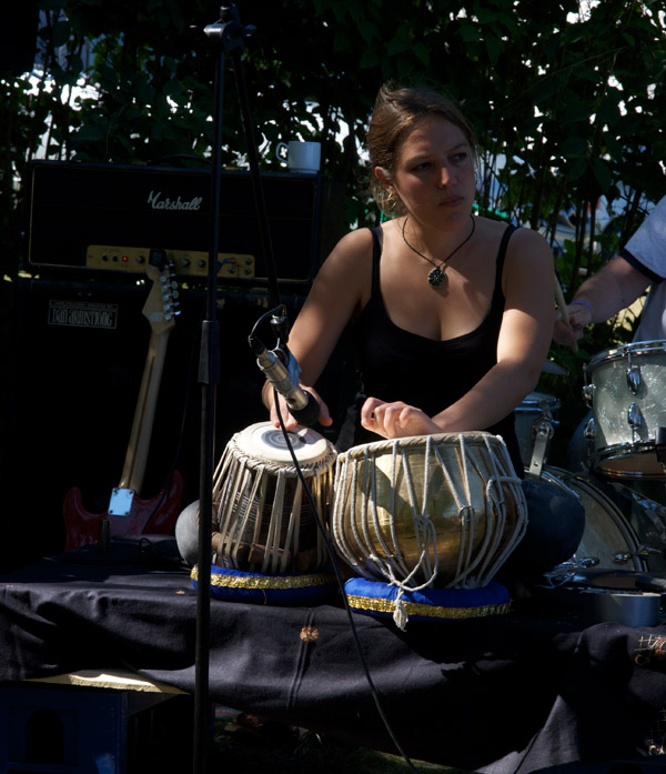 Åmåls Bluesfest 2010 